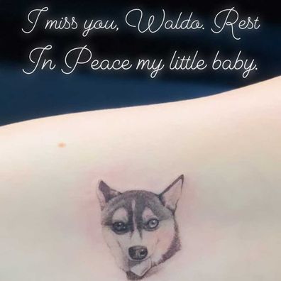 Sophie Turner's tribute to her late dog Waldo.
