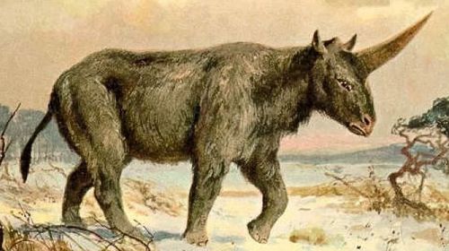 Ancient unicorns lived amongst humans
