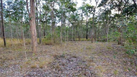 Vacant land for sale where you can be one with nature.