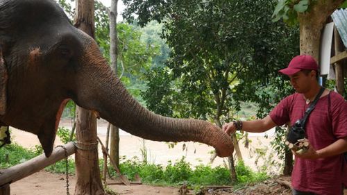 Mr Simeki posted a photograph with an elephant, in Laos, in late 2016. (Facebook)