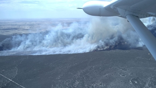 Little Desert National Park fire. Victoria is currently suffering through a high fire day, with temps reaching the low 40s. 27.01.25