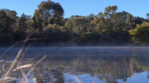 Dubbo had its coldest night in 78 years. Image: 9News