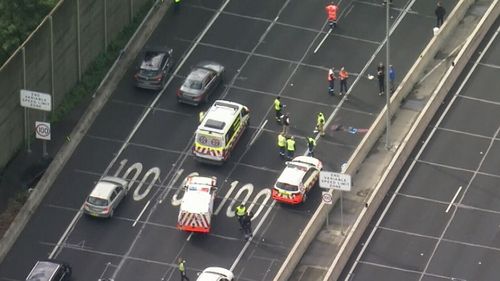 A man has died after he was struck by a ute on Sydney's M2 motorway.