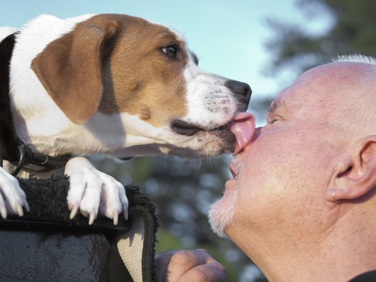 are dog kisses dangerous