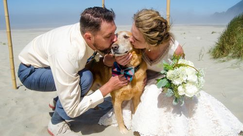 US bride takes terminally ill dog to her beach wedding as final gift 