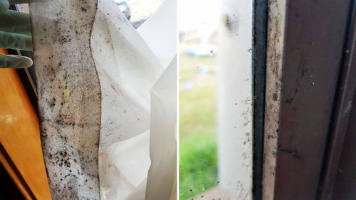 Photos showing the mould in Ms Harrison's home. (Photo: Melissa Harrison.)