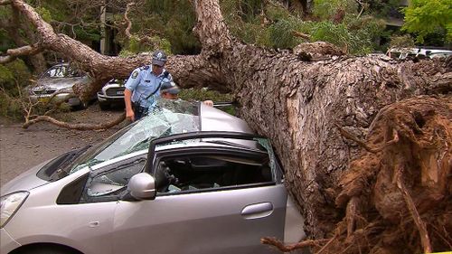 Several cars were crushed in Paddington in Sydney's inner suburbs. (9NEWS)