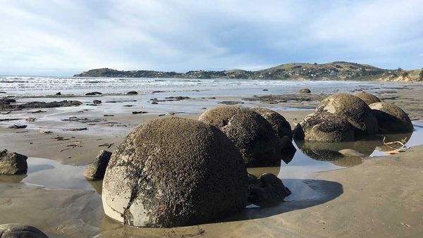 Moeraki boulders