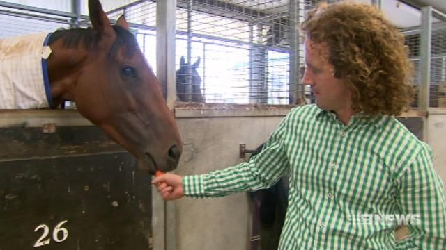 Trainer tips Jameka to win Melbourne Cup