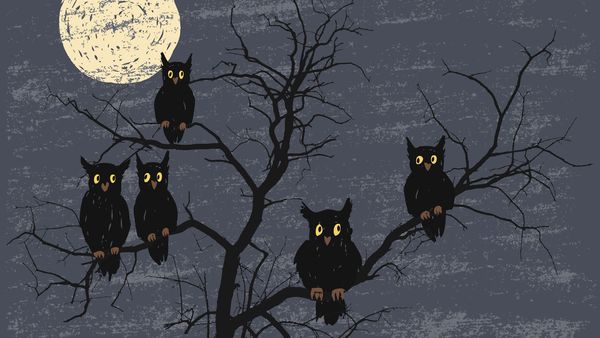 Teen Night Owls Struggle To Learn And >> Night Owls Brains Work Differently To Morning Larks 9coach Teen Night Owls Struggle To Learn And >> Night Owls Brains Work Differently To Morning Larks 9coach