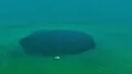 World's deepest 'blue hole' sets new record