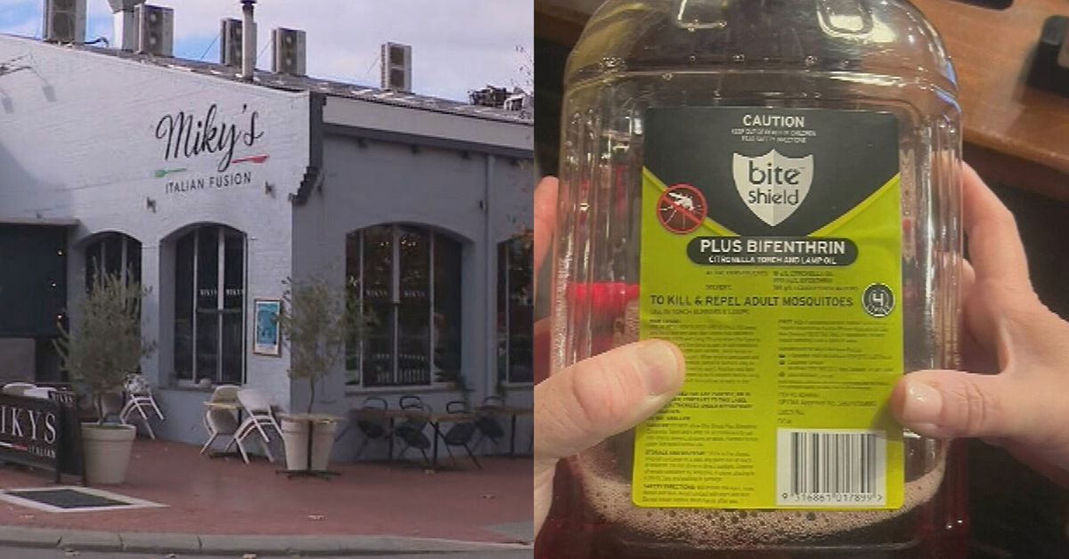 Family allegedly served insect repellant at Perth restaurant – 9News