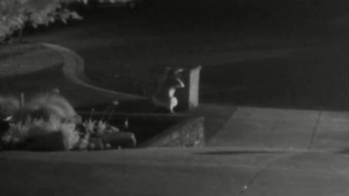 CCTV captured the woman loitering in the yard for several minutes. (Victoria Police)