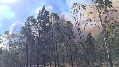 Bushfire destroys homes Tara, 300km west of Brisbane, in Queensland.