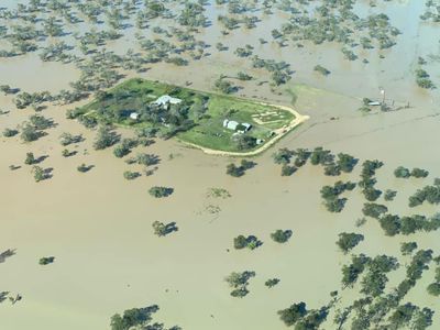 Moree flood