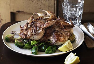 Grilled quail with Brussels sprouts