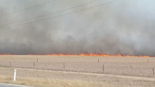 The fires burned on a fiercely hot SA day. (9NEWS)