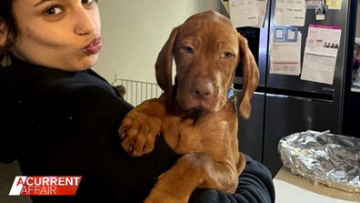 A Sydney family are mourning their beloved pooch Winnie who during a stay at a dog training facility.