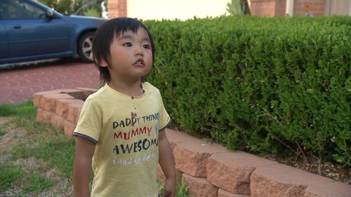 The toddler managed to stray 500m away from the property before being spotted by a local resident (Supplied).