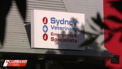 Sydney Veterinary Emergency & Specialists.