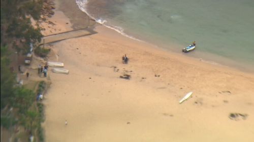 Diver rushed to hospital after going into cardiac arrest at Manly's Shelly Beach