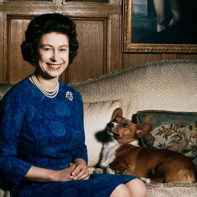 The Queen's last corgi has died