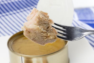 piece of canned tuna in olive oil just for eating