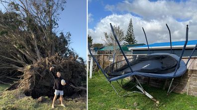 Des arbres massifs ont été déracinés et des trampolines ont été envoyés voler alors que la partie inférieure de l'île du Nord de la Nouvelle-Zélande a été balayée par des vents soufflant à environ 246 km/h dimanche soir.