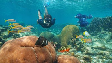 Snorkelling