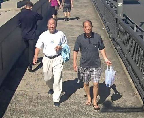Tourist assaulted on Harbour Bridge