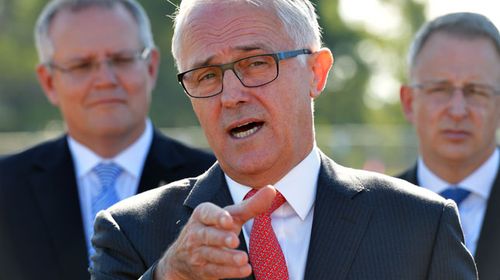 Turnbull to receive energy blueprint