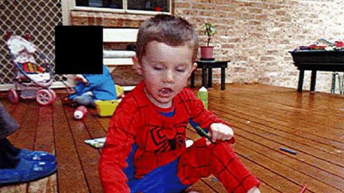 William Tyrrell photographed the morning of his disappearance.