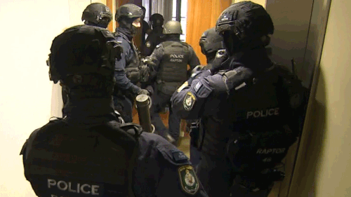 Raptor tactical teams stormed into a luxury waterfront unit at Pyrmont this morning.