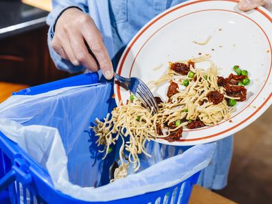 food waste kitchen bin