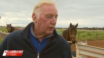 Prominent horse trainer Robert Gleeson.