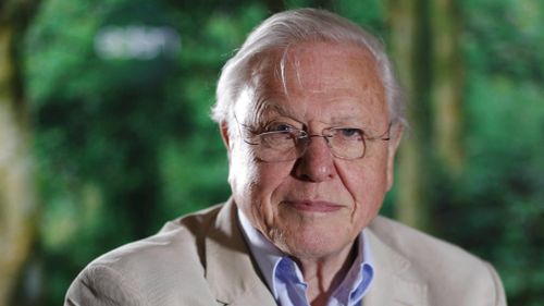Richard Attenborough's brother, Sir David Attenborough. (AAP)