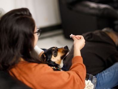 Dog with popcorn iStock photo