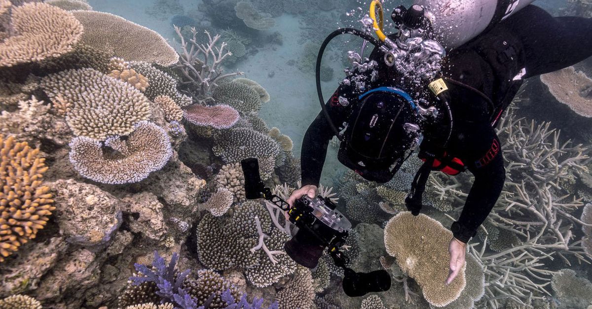 Australia warned on 'pillaging' threats to underwater heritage