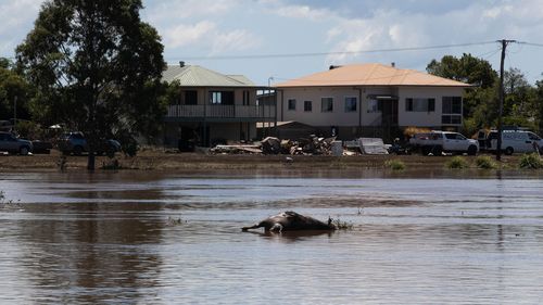 Om and Savita Jhorar's home near Woodburn was destroyed in food.  The town in the Northern Rivers region of New South Wales, pictured here, was completely flooded.