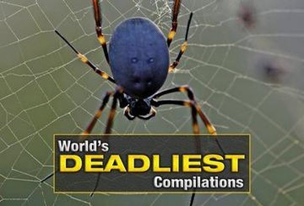 World's Deadliest Compilations