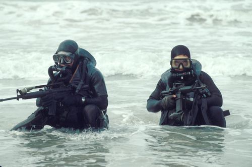 Navy SEALs in action.