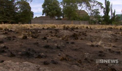 Fireworks sparked a blaze that came within metres of Laura Pascoe's Sunbury home. (9NEWS)