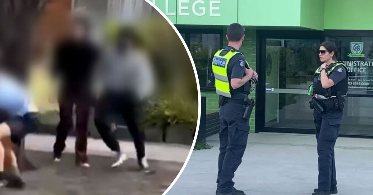 Greenvale: Teenage Girl, 16, Arrested After Students Injured in All...