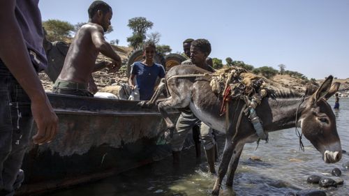 Tigray refugees