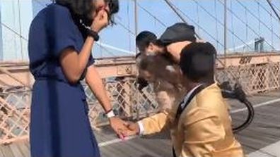 Proposal on famous bridge gets literally 'crashed' by public