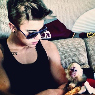 Justin Bieber's capuchin monkey