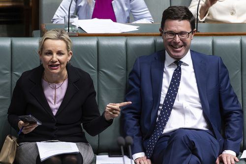 Sussan Ley and David Littleproud during Question Time at Parliament House in Canberra on Tuesday 1 August 2023.