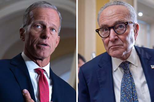 Republican John Thune and Democrat Chuck Schumer.