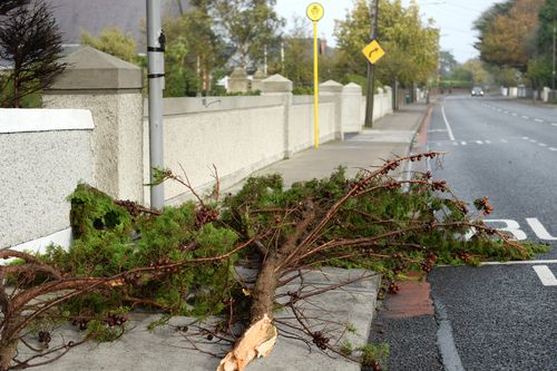 Fallen trees litter the streets in Howth Road, Sutton, Dublin, Ireland. (AAP)