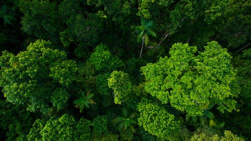 O gerente de segurança no local de trabalho de 50 anos e pai de três filhos, de Adelaide, fez um passeio de tirolesa com sua esposa Shannon durante um feriado em Far North Queensland.